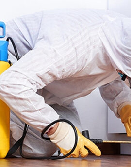 cleaning_banner_about_us-1