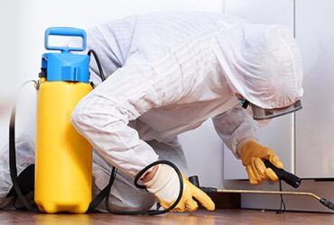 cleaning_banner_about_us-1